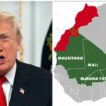 50935e0f-5e09-4787-8f0b-4944d4213588