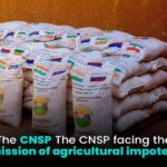 66bda7a9-6dc0-49e6-a77f-bed3dbde481d-1