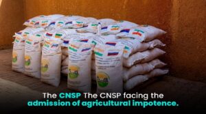 66bda7a9-6dc0-49e6-a77f-bed3dbde481d-1