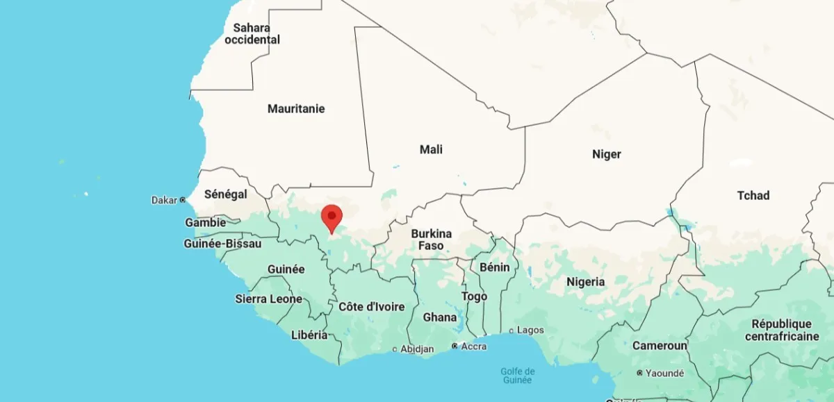 Protests in Bamako against potential dissolution of political parties