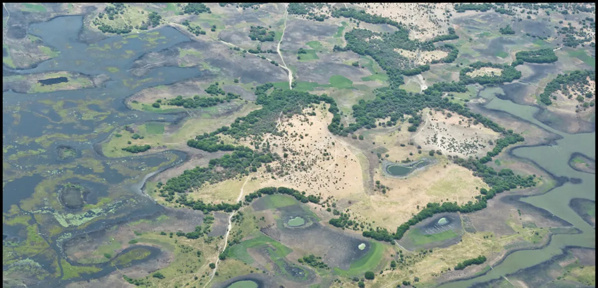 Lake Chad air strikes: dozens of Nigerian fishermen presumed dead