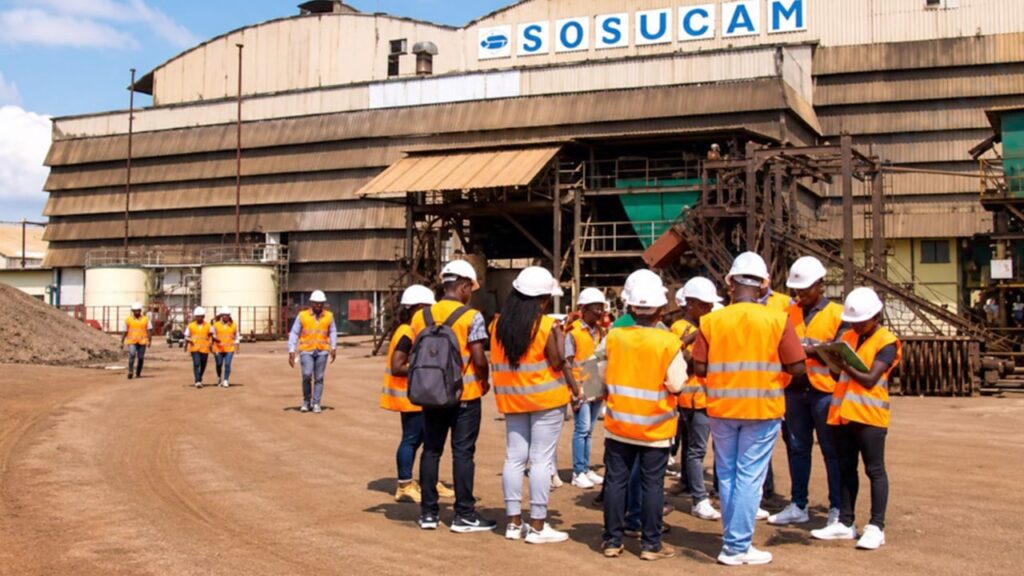 4c6a0be8-41a9-4894-80ab-f53b8a87c38e